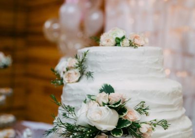VMStudio Taylor+Alex Wedding Photography