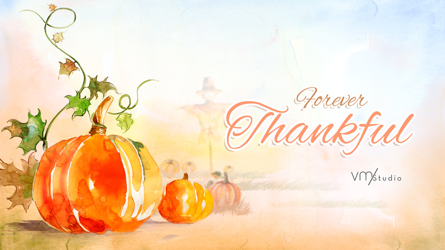 Happy Thanksgiving from VMStudio