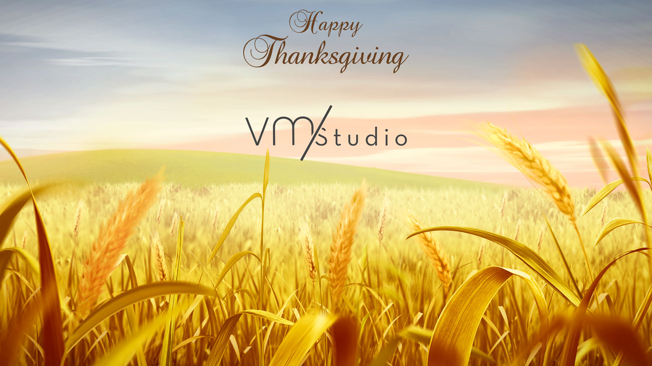 Happy Thanksgiving from VMStudio