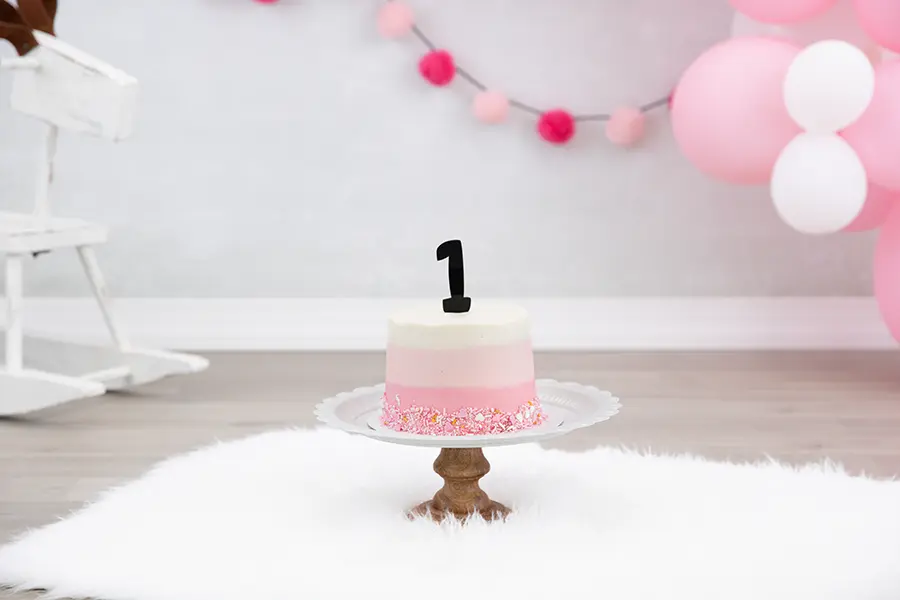 Memphis Family Photography | Samantha – Smash Cake!
